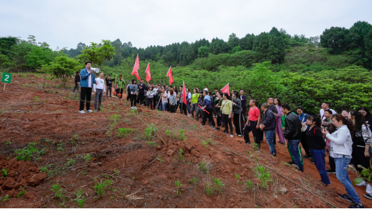 省尊龙凯时人生就是博集团开展龙泉山城市森林公园 “包山头”植树活动